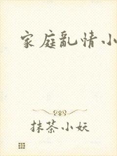 家庭乱情小说