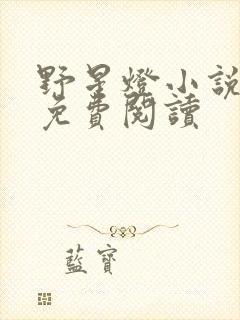 野星灯小说全文免费阅读