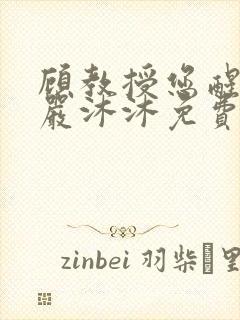 顾教授您醒了吗严沐沐免费阅读全文小说