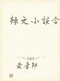 辣文小说合集