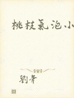 桃枝气泡小说封面
