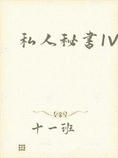 私人秘书1V1
