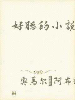 好听的小说名字封面