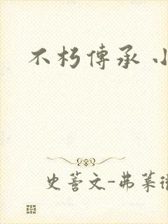 不朽传承 小说