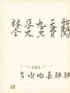 林辰九天斩神诀全文免费阅读笔趣阁封面