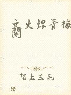 文火煨青梅笔趣阁
