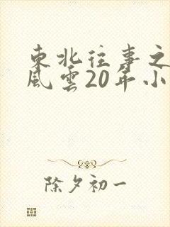 东北往事之黑道风云20年小说封面