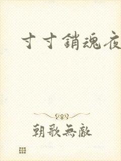 寸寸销魂夜春光