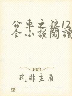 公车之狼12集全小说阅读