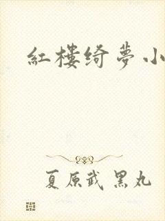 红楼绮梦小说