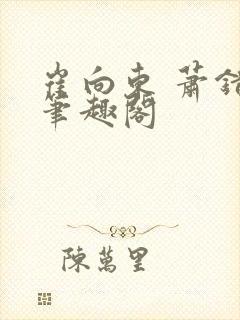 崔向东 萧错 笔趣阁封面