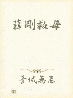 薛刚救母