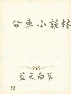 公车小说林蔓蔓