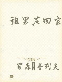 租男友回家过年封面
