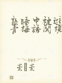 熟睡中被进了H青梅诱哄视频