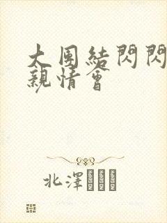 大团结闪闪发光亲情会封面