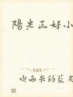 阳光正好小说