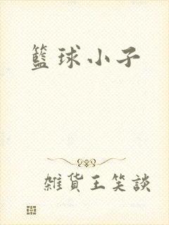 篮球小子封面