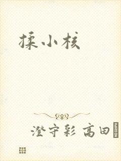 揉小核封面