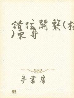 错位关系(校园)东哥
