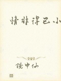 情非得已小说