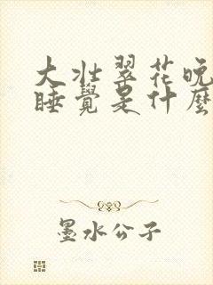 大壮翠花晚上不睡觉是什么电视剧