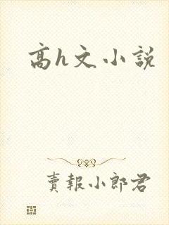 高h文小说