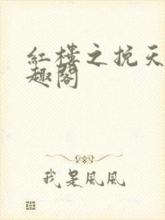红楼之挽天倾笔趣阁