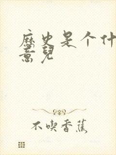 历史是个什么玩意儿封面
