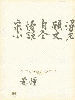 宋惜月顾浔渊的小说全文免费阅读