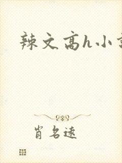 辣文高h小说