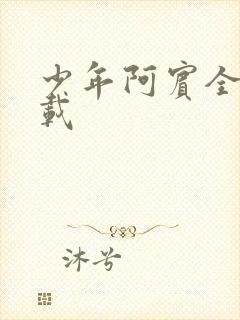 少年阿宾全集下载
