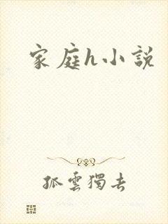家庭h小说封面