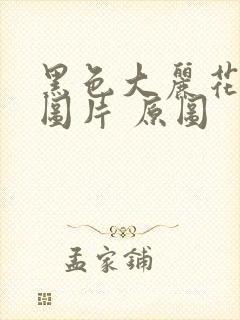 黑色大丽花真实图片 原图