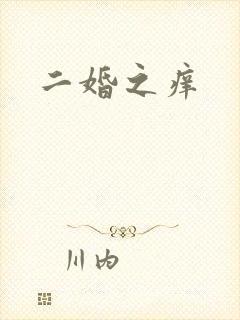 二婚之痒封面