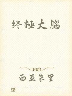 终极大脑