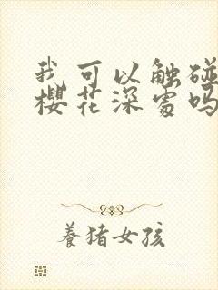 我可以触碰你的樱花深处吗