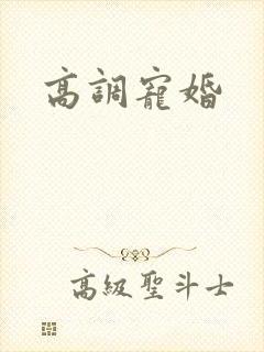 高调宠婚
