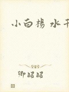 小白杨 水千丞