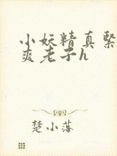 小妖精真紧h嘶爽老子h封面