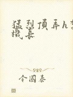 猛烈顶弄h禁欲机长