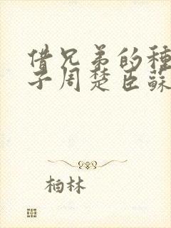 借兄弟的种生孩子周楚臣苏糖