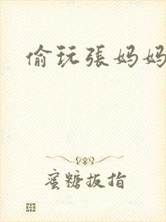 偷玩张妈妈封面