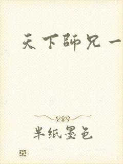 天下师兄一般黑封面