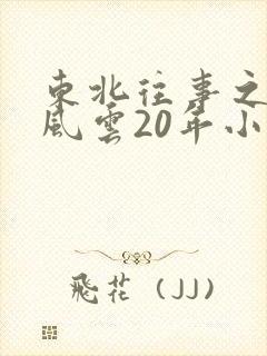 东北往事之黑道风云20年小说