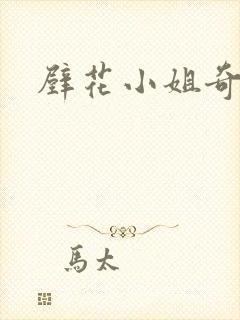 壁花小姐奇遇记