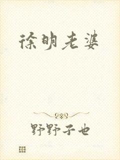 徐明老婆封面