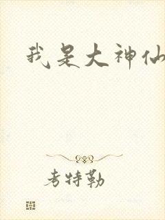 我是大神仙小说