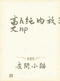 高h纯肉放荡h文np