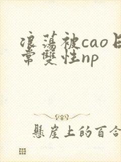 浪荡被cao日常双性np